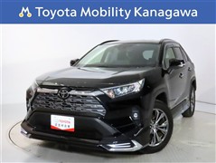 RAV4 2.0G