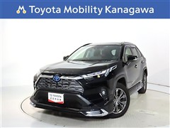 RAV4 HV 2.5G