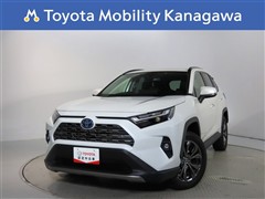 ＲＡＶ４