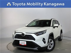 RAV4 2.0X