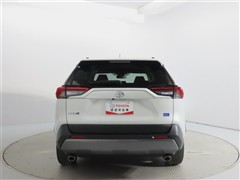 RAV4 2.0X