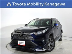RAV4 2.0G