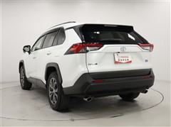 RAV4 2.0X