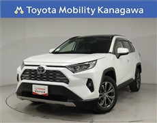 RAV4 2.0G