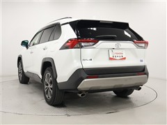 RAV4 2.0G