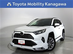 RAV4 2.0G Zパッケージ