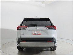 RAV4 2.0G Zパッケージ