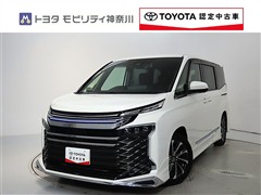 ヴォクシー 2.0S-Z 7ニンノリ