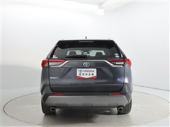 RAV4 2.0G Zパッケージ