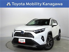 RAV4 HV 2.5G