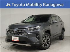 RAV4 HV 2.5G 4WD