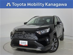 RAV4 2.0G