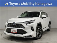 RAV4 HV 2.5G 4WD