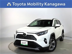 RAV4 2.0G