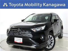 トヨタ RAV4 2.0G Zパッケージ