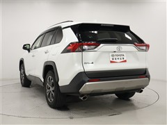 RAV4 2.0G
