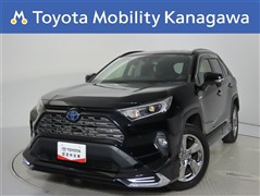 RAV4 HV 2.5G