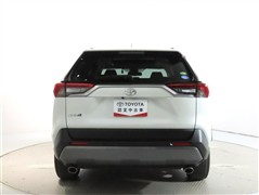 RAV4 2.0G