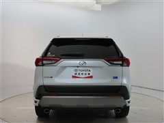 RAV4 2.0G