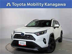 ＲＡＶ４