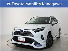 RAV4 HV 2.5G