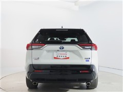RAV4 PHV 2.5ブラックトーン