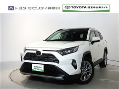 トヨタ RAV4 2.0G Zパッケージ