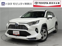 RAV4 HV 2.5G 4WD