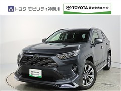 トヨタ　RAV4 2.0G Zパッケージ
