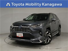 RAV4 HV 2.5G 4WD