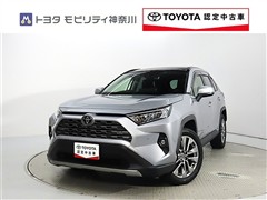 トヨタ RAV4 2.0G Zパッケージ