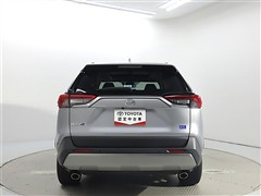 RAV4 2.0G Zパッケージ