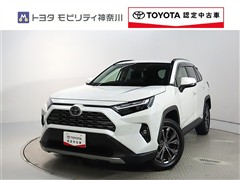RAV4 HV 2.5G