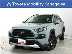 トヨタ RAV4 2.0アドベンチャー