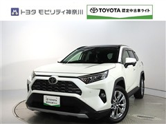 RAV4 2.0G Zパッケージ