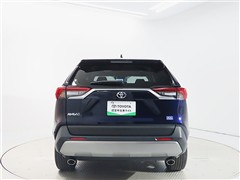 RAV4 2.0G Zパッケージ