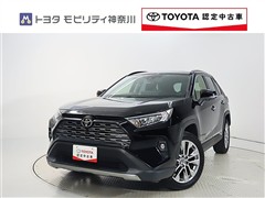 RAV4 2.0G Zパッケージ