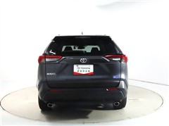 RAV4 2.0X