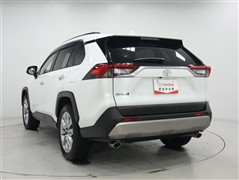 RAV4 2.0G Zパッケージ