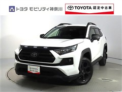 トヨタ RAV4 2.0アドベンチャーOR2