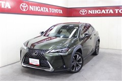 UX200 バージョンL