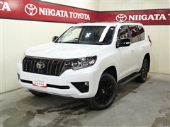 トヨタ ランクルプラドTX L BL ED