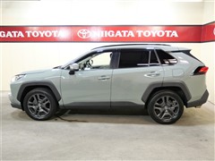 RAV4 アドベンチャー