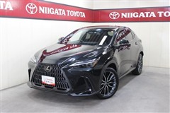 NX350h バージョンL