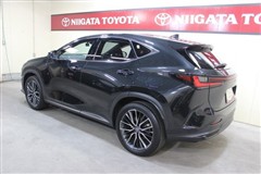 NX350h バージョンL