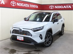 RAV4 ハイブリッド G