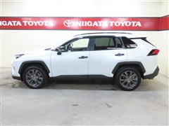 RAV4 ハイブリッド G