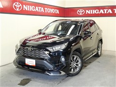 トヨタ RAV4 G Zパッケージ