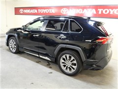 RAV4 G Zパッケージ