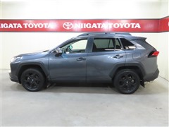 RAV4 アドベンチャー オフロート